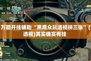 万能开挂辅助“黑鹰众玩透视拼三张”(透视)其实确实有挂 