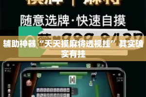 辅助神器“天天摸麻将透视挂”其实确实有挂
