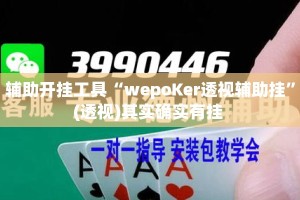 辅助开挂工具“wepoKer透视辅助挂”(透视)其实确实有挂 