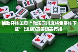 辅助开挂工具“微乐四川麻将免费挂下载”(透视)其实确实有挂 
