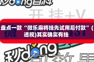 盘点一款“微乐麻将挂先试用后付款”(透视)其实确实有挂 