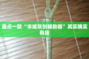 盘点一款“丰城双剑辅助器”其实确实有挂