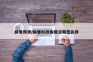 脉策预测/脉策科技有限公司怎么样