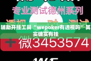 辅助开挂工具“wepoker有透视吗”其实确实有挂