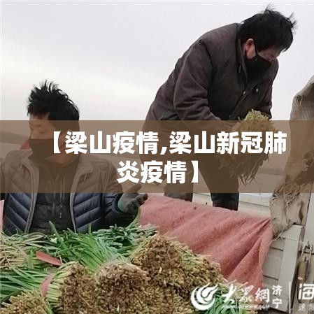 【梁山疫情,梁山新冠肺炎疫情】