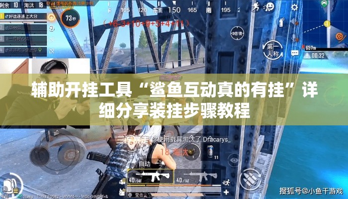 辅助开挂工具“鲨鱼互动真的有挂”详细分享装挂步骤教程