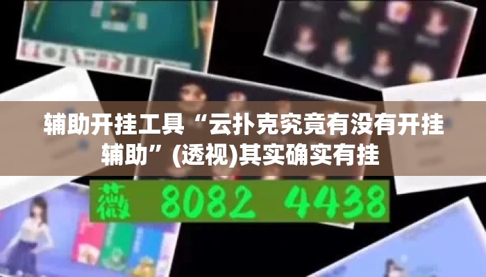 辅助开挂工具“云扑克究竟有没有开挂辅助”(透视)其实确实有挂 