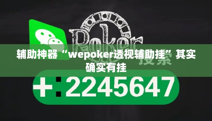 辅助神器“wepoker透视辅助挂”其实确实有挂