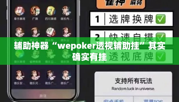 辅助神器“wepoker透视辅助挂	”其实确实有挂