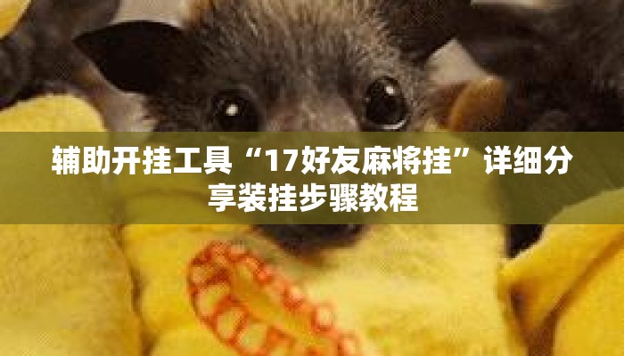 辅助开挂工具“17好友麻将挂”详细分享装挂步骤教程