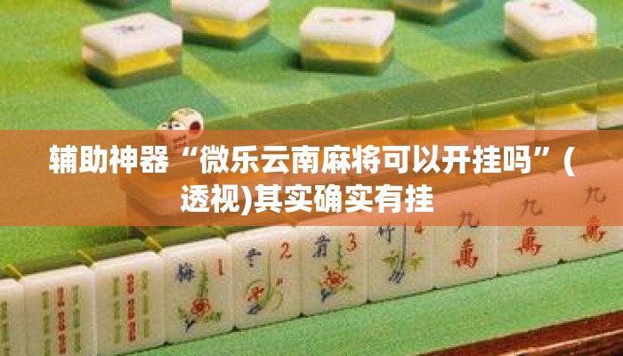 辅助神器“微乐云南麻将可以开挂吗	”(透视)其实确实有挂 