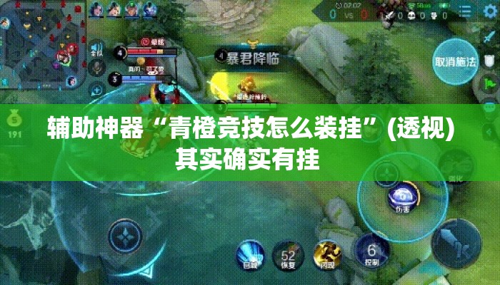 辅助神器“青橙竞技怎么装挂	”(透视)其实确实有挂 