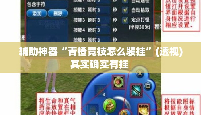辅助神器“青橙竞技怎么装挂”(透视)其实确实有挂 