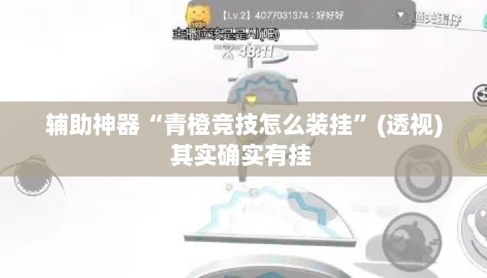 辅助神器“青橙竞技怎么装挂”(透视)其实确实有挂 