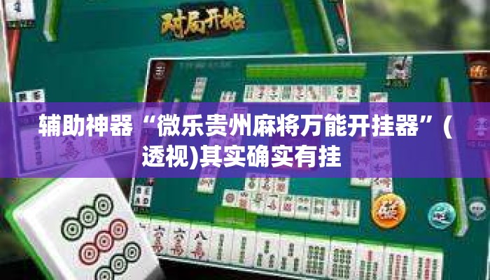 辅助神器“微乐贵州麻将万能开挂器”(透视)其实确实有挂 