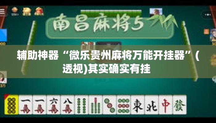 辅助神器“微乐贵州麻将万能开挂器”(透视)其实确实有挂 