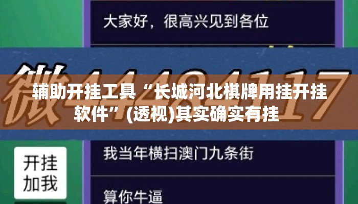 辅助开挂工具“长城河北棋牌用挂开挂软件	”(透视)其实确实有挂 