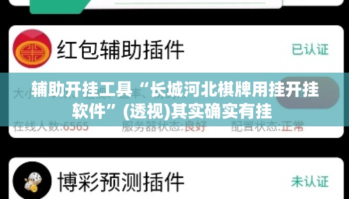 辅助开挂工具“长城河北棋牌用挂开挂软件”(透视)其实确实有挂 