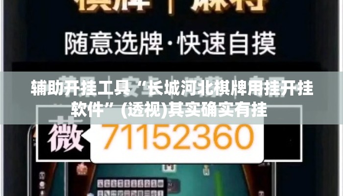 辅助开挂工具“长城河北棋牌用挂开挂软件”(透视)其实确实有挂 