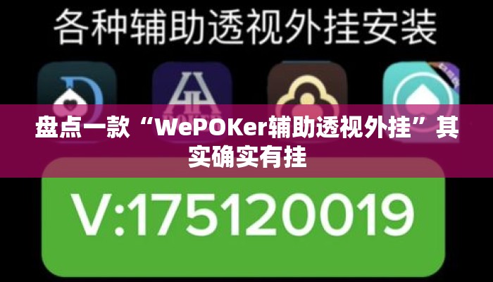 盘点一款“WePOKer辅助透视外挂”其实确实有挂