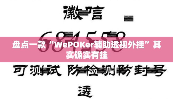 盘点一款“WePOKer辅助透视外挂”其实确实有挂