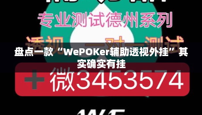 盘点一款“WePOKer辅助透视外挂	”其实确实有挂