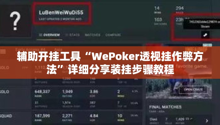 辅助开挂工具“WePoker透视挂作弊方法	”详细分享装挂步骤教程