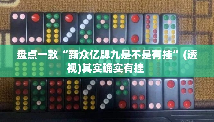 盘点一款“新众亿牌九是不是有挂”(透视)其实确实有挂 