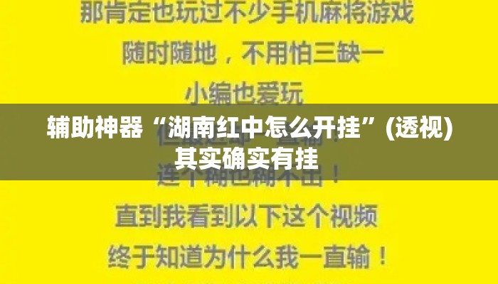 辅助神器“湖南红中怎么开挂”(透视)其实确实有挂 
