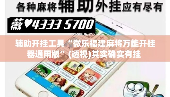 辅助开挂工具“微乐福建麻将万能开挂器通用版	”(透视)其实确实有挂 