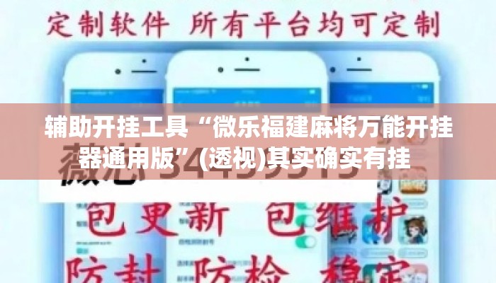 辅助开挂工具“微乐福建麻将万能开挂器通用版”(透视)其实确实有挂 