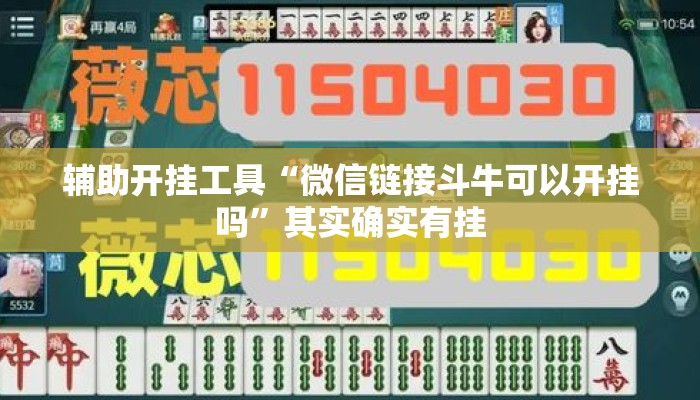 辅助开挂工具“微信链接斗牛可以开挂吗	”其实确实有挂