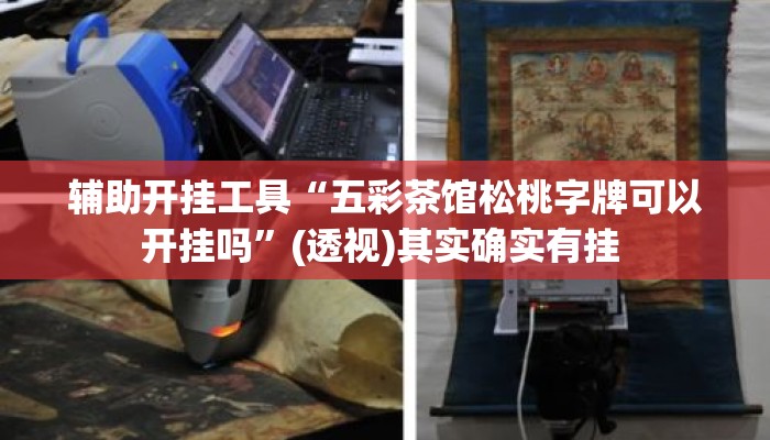 辅助开挂工具“五彩茶馆松桃字牌可以开挂吗”(透视)其实确实有挂 