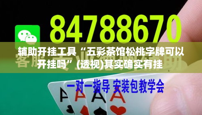 辅助开挂工具“五彩茶馆松桃字牌可以开挂吗”(透视)其实确实有挂 