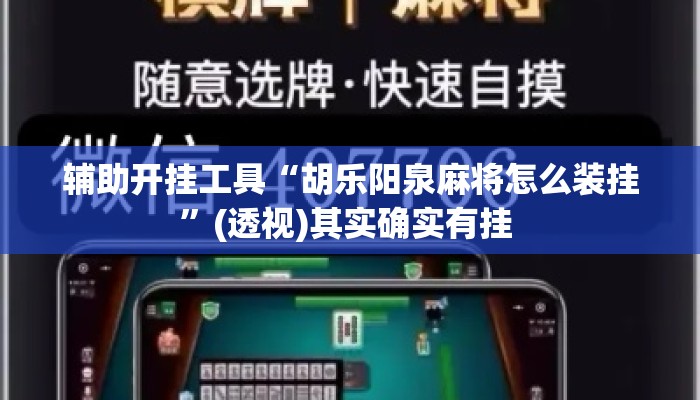 辅助开挂工具“胡乐阳泉麻将怎么装挂”(透视)其实确实有挂 
