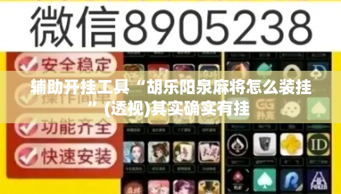 辅助开挂工具“胡乐阳泉麻将怎么装挂”(透视)其实确实有挂 