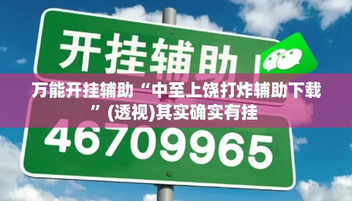 万能开挂辅助“中至上饶打炸辅助下载”(透视)其实确实有挂 