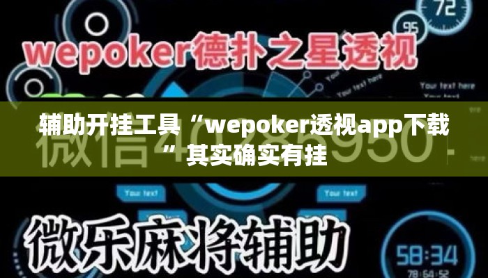 辅助开挂工具“wepoker透视app下载	”其实确实有挂