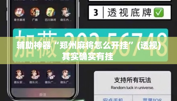 辅助神器“郑州麻将怎么开挂	”(透视)其实确实有挂 