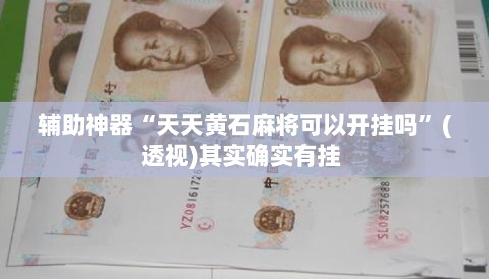 辅助神器“天天黄石麻将可以开挂吗	”(透视)其实确实有挂 