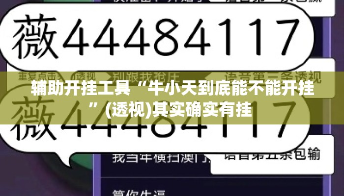 辅助开挂工具“牛小天到底能不能开挂	”(透视)其实确实有挂 