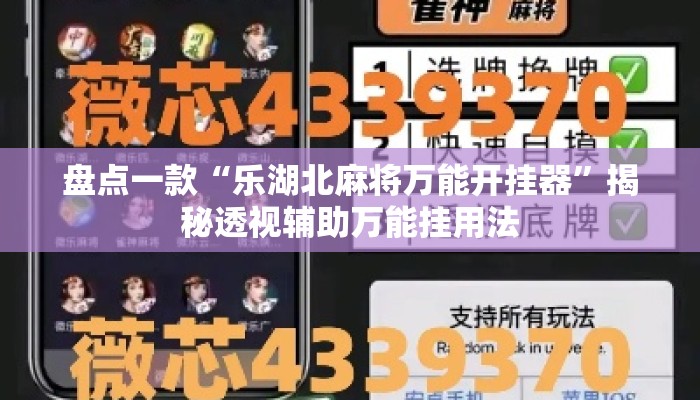 盘点一款“乐湖北麻将万能开挂器”揭秘透视辅助万能挂用法
