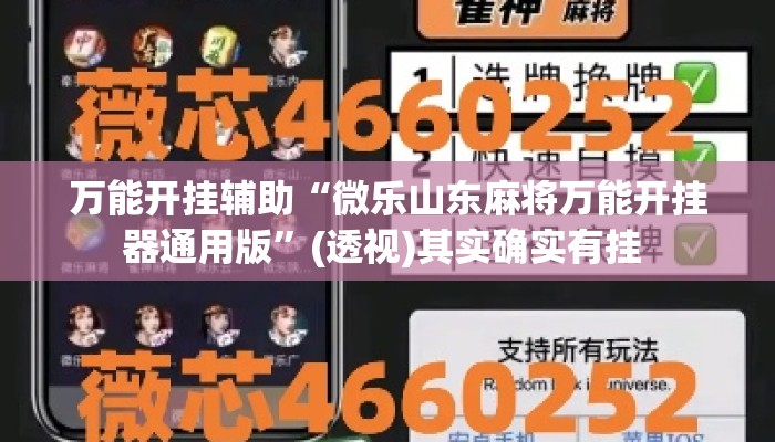 万能开挂辅助“微乐山东麻将万能开挂器通用版	”(透视)其实确实有挂 
