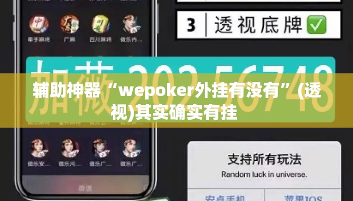 辅助神器“wepoker外挂有没有”(透视)其实确实有挂 
