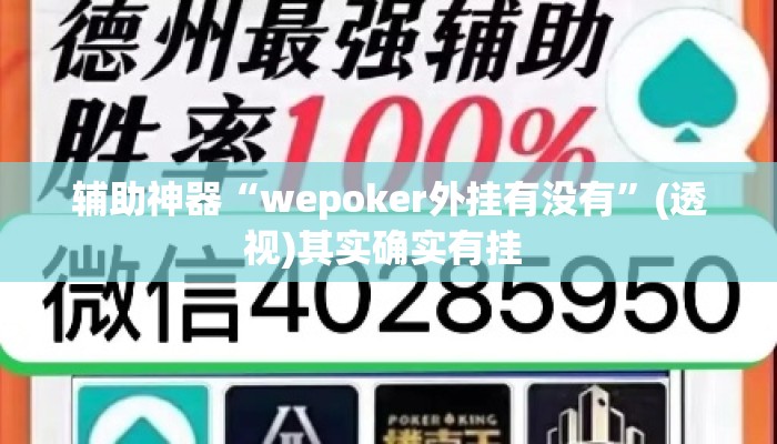 辅助神器“wepoker外挂有没有”(透视)其实确实有挂 