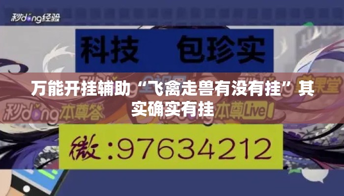 万能开挂辅助“飞禽走兽有没有挂”其实确实有挂