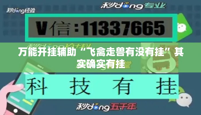 万能开挂辅助“飞禽走兽有没有挂	”其实确实有挂