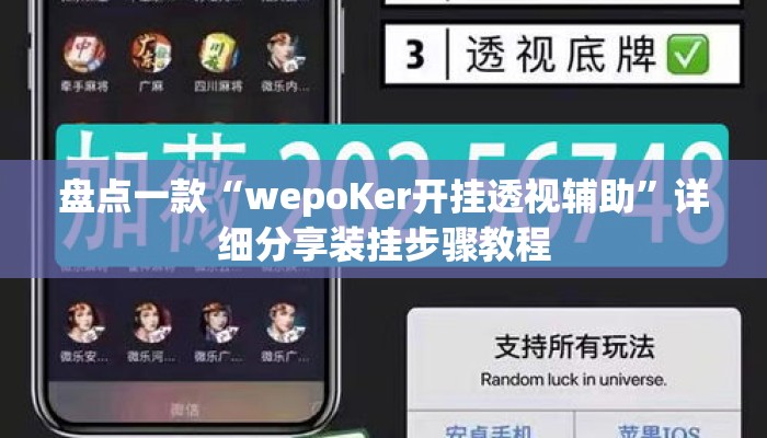 盘点一款“wepoKer开挂透视辅助”详细分享装挂步骤教程