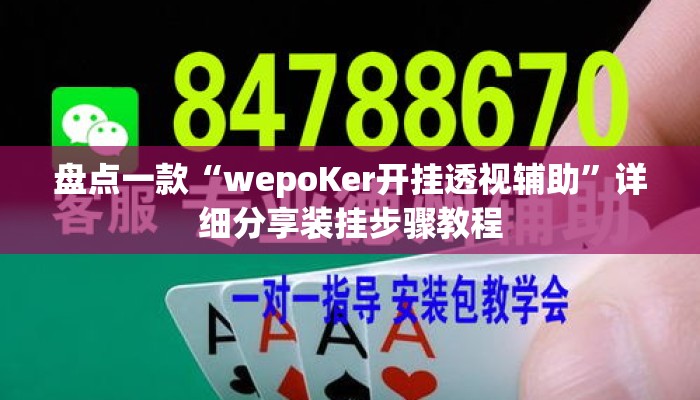 盘点一款“wepoKer开挂透视辅助	”详细分享装挂步骤教程