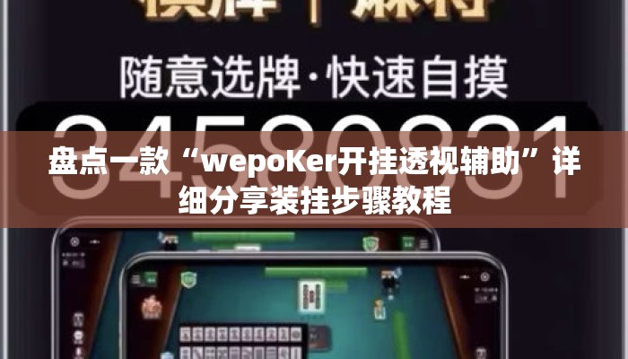 盘点一款“wepoKer开挂透视辅助”详细分享装挂步骤教程